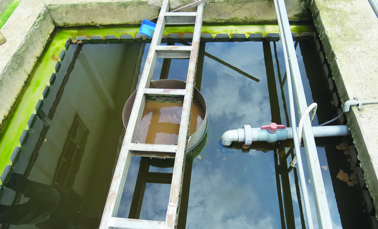 TRẠM XỬ LÝ NƯỚC THẢI NHÀ MÁY GỖ LATITUDE TREE