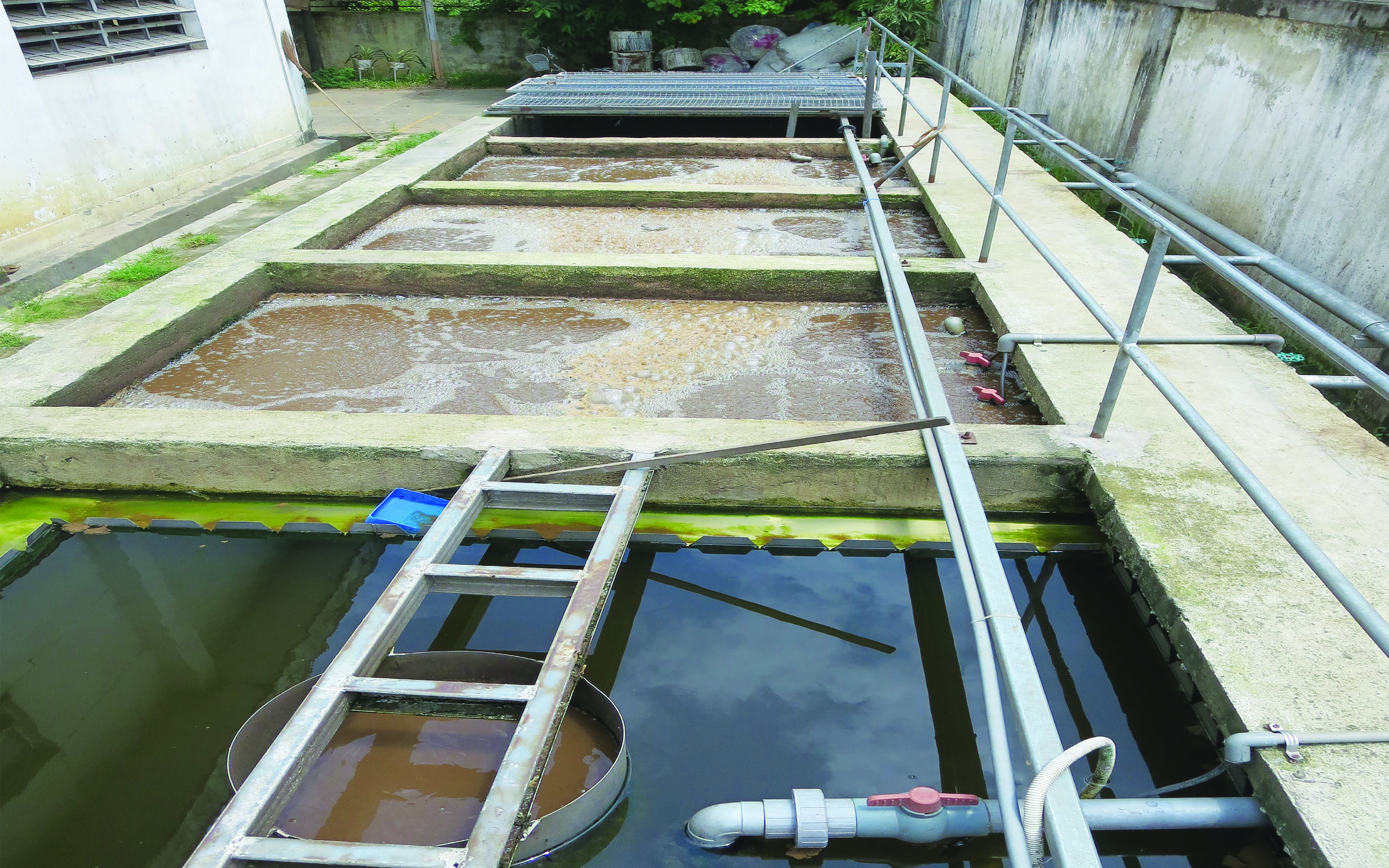 TRẠM XỬ LÝ NƯỚC THẢI NHÀ MÁY GỖ LATITUDE TREE